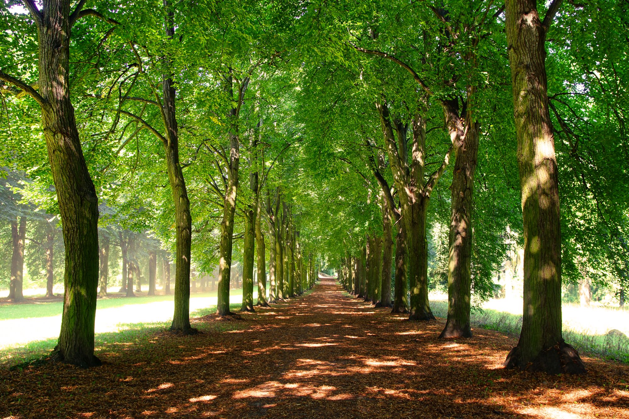 Thema Natur und Umwelt